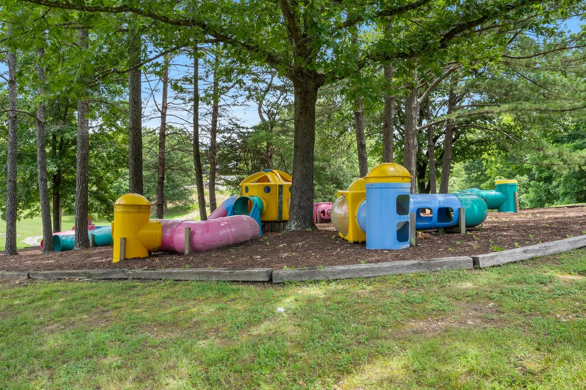 A vibrant exterior shot featuring colorful play structures set amid large trees and an open grassy area. Children are actively playing, while families gather nearby, creating a joyful scene of community bonding and outdoor recreation.