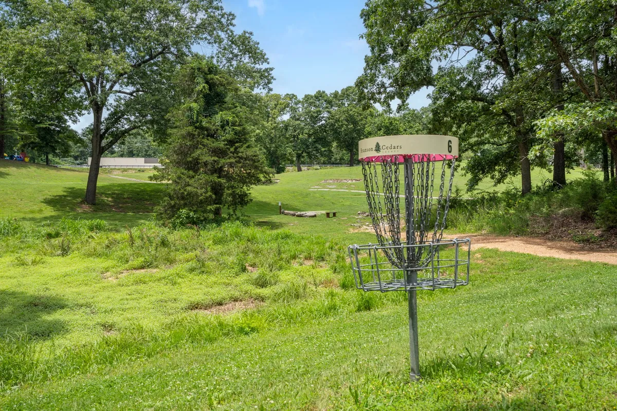 A disc golf basket set amid lush greenery and a winding pathway, inviting guests to partake in recreational disc golf or stroll through the outdoors. The mood is relaxed and recreational, hinting at both friendly competition and the beauty of the natural setting.